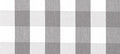 Buffalo Plaid Grey Mist